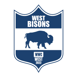 Bisons